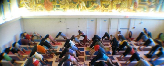 Slider 3 – Downward dog