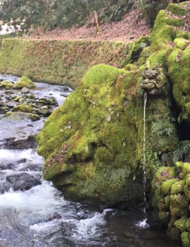 On Meditating: The Practice of Peace and Insight