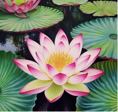 The Lotus Dimension